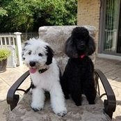 Barbara Swindler's photo