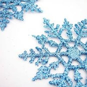 Ann Totman's photo