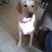 Janet Gunnin's photo