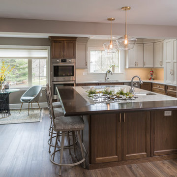 Kitchen Remodel, Addition, & Entry Doors