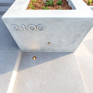 Exemple d'un xéropaysage tendance de taille moyenne avec un mur de soutènement, une exposition ensoleillée et une pente, une colline ou un talus.