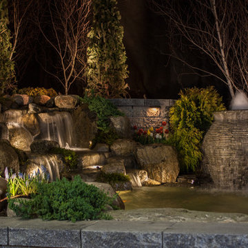 spring fest fish koi pond