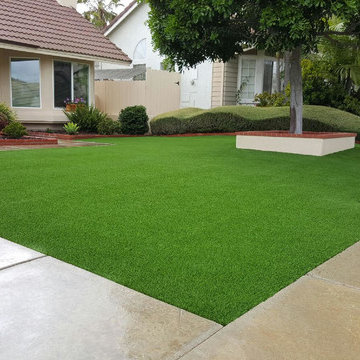Front Yard