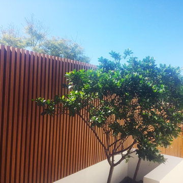You Won't Believe This Is Bamboo!