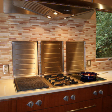 Contemporary NW Kitchen