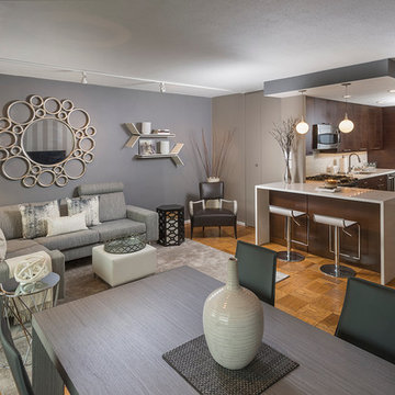 Contemporary Living Room