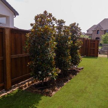 Flowering Trees & Shrubs