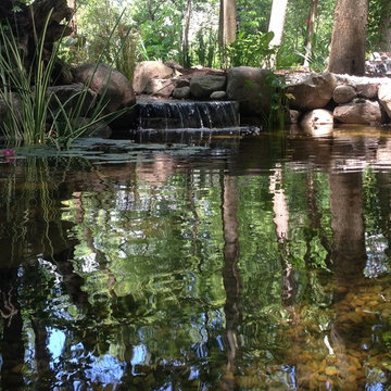 Lost loved one - Dedication Pond