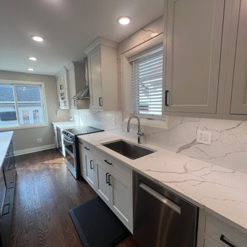 Chicago Kitchen/Dining Renovation