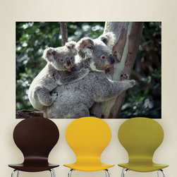 National Geographic Murals - Wall Decals