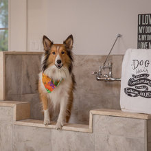 Dog baths