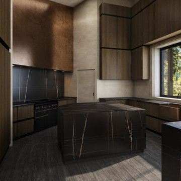 Incline Village NV. Renovation