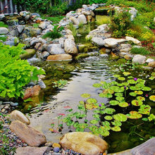 Ponds