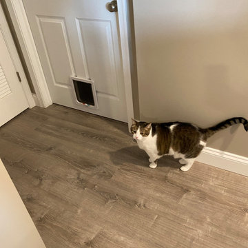 Basement Remodel