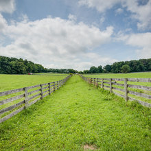 fencing