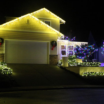 Professional Christmas Light Installation