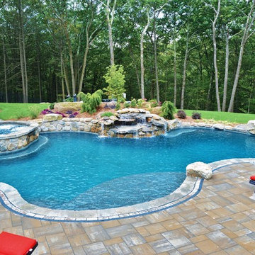 Freeform Pool with Spa Combo 2017