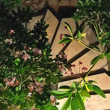 Neelangarai Home