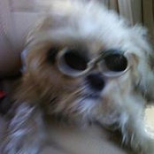 Irene Ank's photo