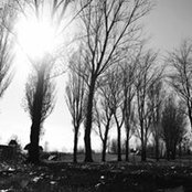 Jerry Lee's photo