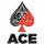 ACE Contracting Services, Inc.