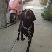 Elizabeth Erna's photo