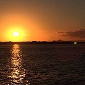 Steve Hatchman's photo