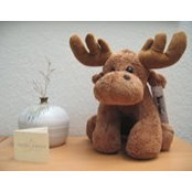 Jimmy Lee's photo
