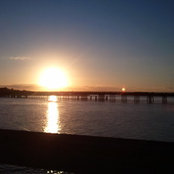 Crystal Bailey's photo
