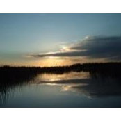 Shona Hamilton's photo