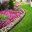 Best Lawns