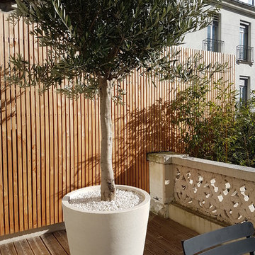 vue depuis la terrasse avec l'olivier