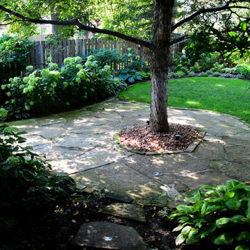Shady Backyard Sanctuary