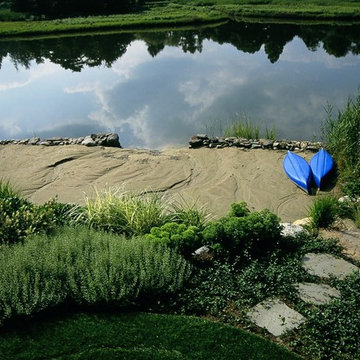 Salt Pond Wall, Steppers & Plantings