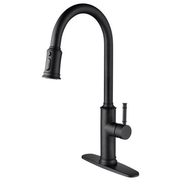 Wellfor Single Handle Pull Down Kitchen Sink Faucet, Matte Black