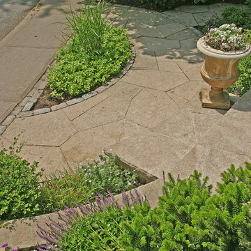 Small Frontyard