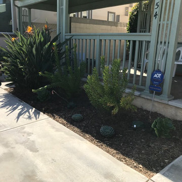 Bermed front yard