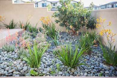 This is an example of a large partial sun backyard gravel landscaping in Santa Barbara.