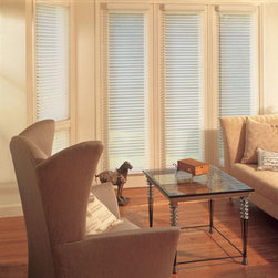 BlindSaver Advantage 2" Window Shadings - Window Blinds