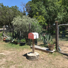 Fence line Xeriscape Cactus