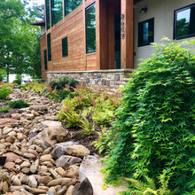 Side Yard