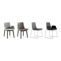 ventura chair - Dining Chairs