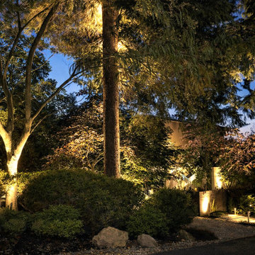 A garden Upgradetur4e, modern,