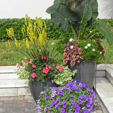 container gardens
