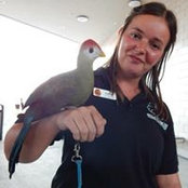 Ashley Scholl's photo