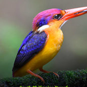 Smita Agarwal's photo