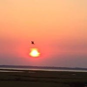 Donna Wray's photo