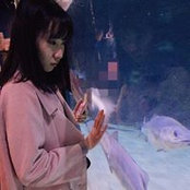 Foto von Danni Wang