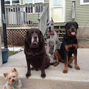 Karen Roy's photo