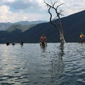 Chris Holl's photo